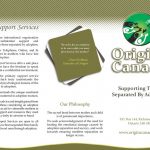 Steven Trustrum Origins Brochure